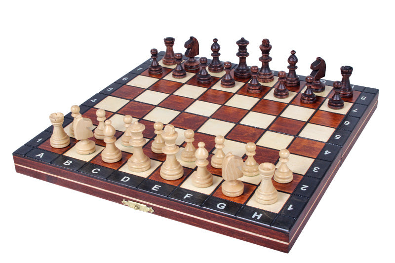 AJEDREZ MAGNÉTICO (27 cm) - AJEDREZ MAGNÉTICO (27 cm)