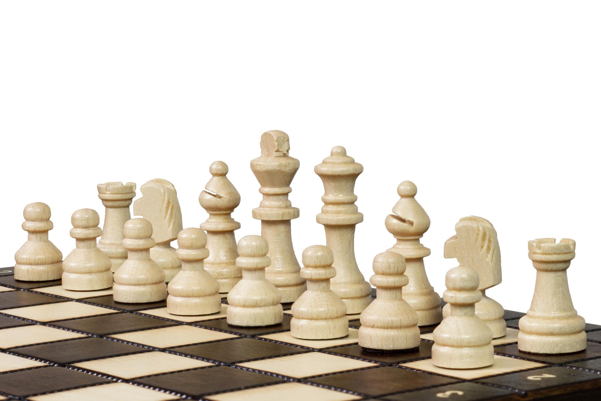 MAGNETIC SCHOOL Schach (28x28cm) - MAGNETIC SCHOOL Schach (28x28cm)