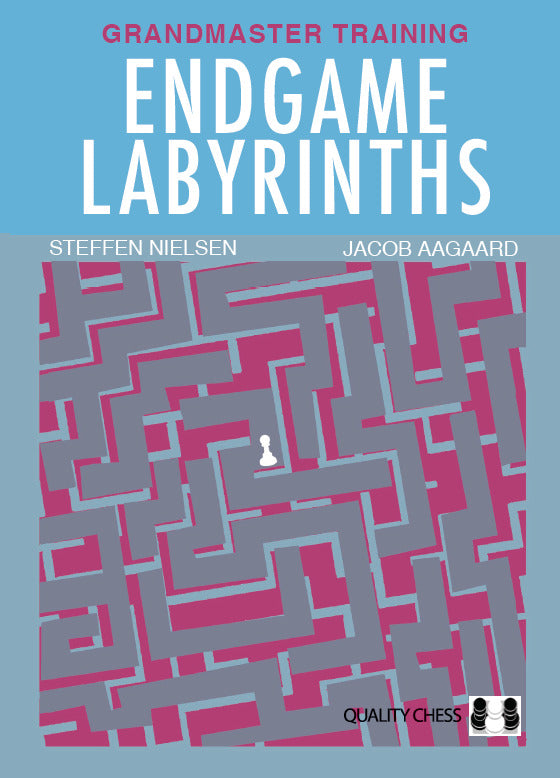 Endgame Labyrinths by Jacob Aagaard and Steffen Nielsen (hardcover) - Endgame Labyrinths by Jacob Aagaard and Steffen Nielsen (hardcover)