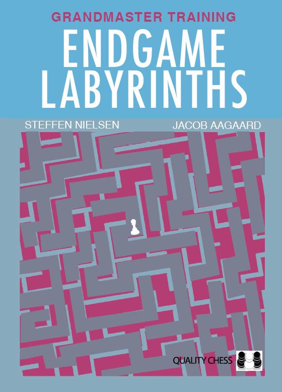 Endgame Labyrinths (Paperback) - Endgame Labyrinths (Paperback)