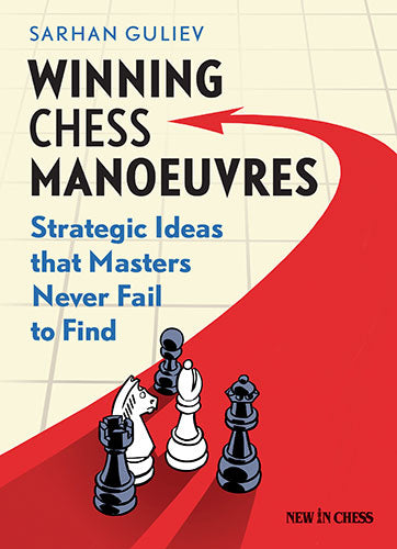 Winning Chess Manoeuvres: Strategic Ideas that Masters Never Fail to Find - Winning Chess Manoeuvres: Strategic Ideas that Masters Never Fail to Find