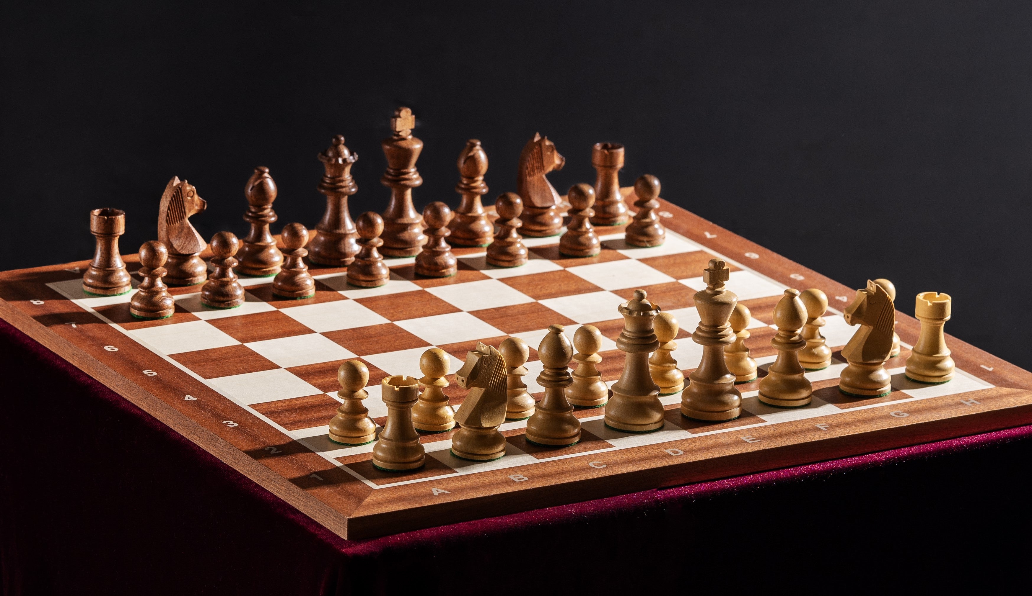 Juego de ajedrez de torneo nº 5 - tablero de 50 mm + piezas de caballero alemán de 3,5 - Juego de ajedrez de torneo nº 5 - tablero de 50 mm + piezas de caballero alemán de 3,5