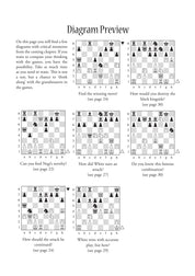 Dynamic Decision Making in Chess by Boris Gelfand (Paperback)