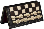MAGNETIC SCHOOL Schach (28x28cm)