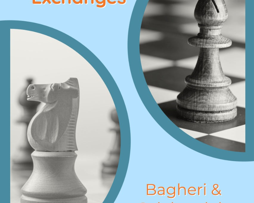 understanding-chess-exchanges-by-bagheri-salehzadeh-twarda-okladka-9781784831998_dc7c1e71-1ee9-440e-9b16-d3ac908b0331.jpg