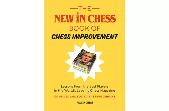 The New In Chess Book of Chess Improvement: Lessons From the Best Players in the World