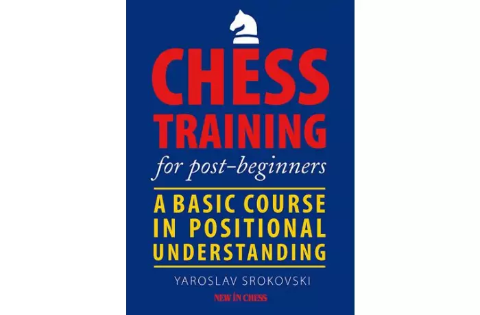 Chess Training for Post-Beginners